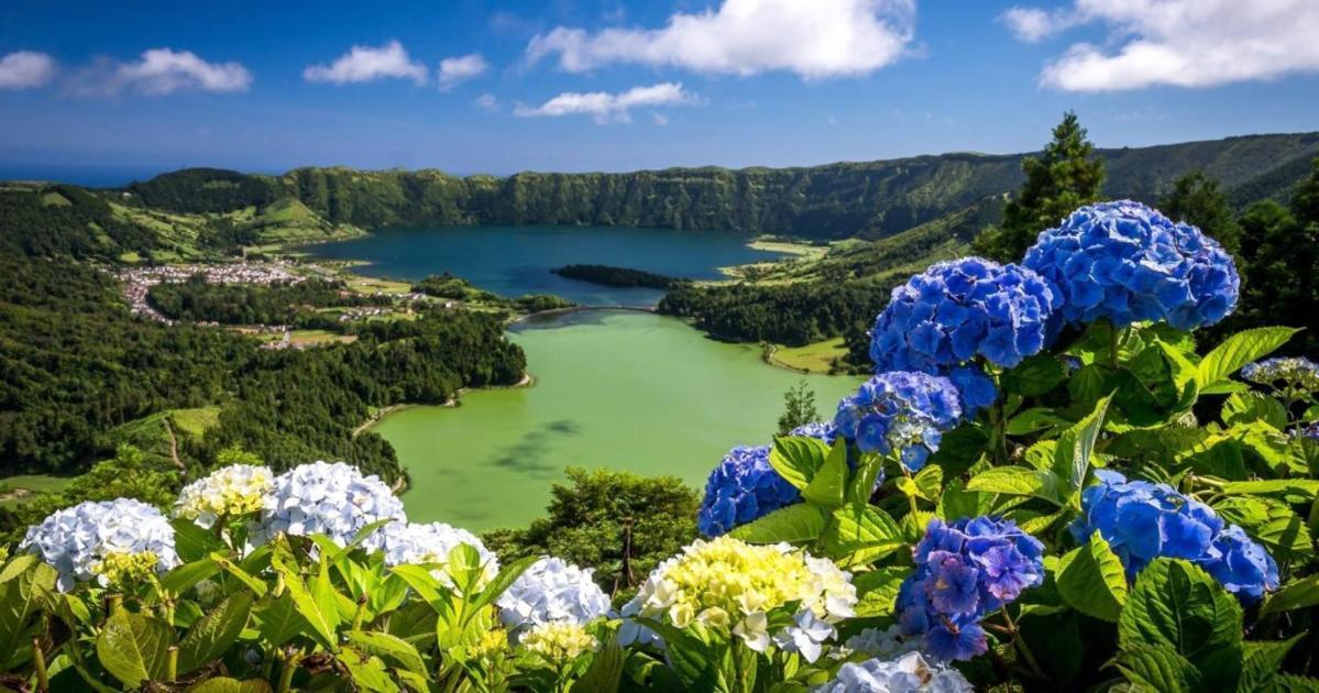 Barrocas Villas Azores São Roque المظهر الخارجي الصورة